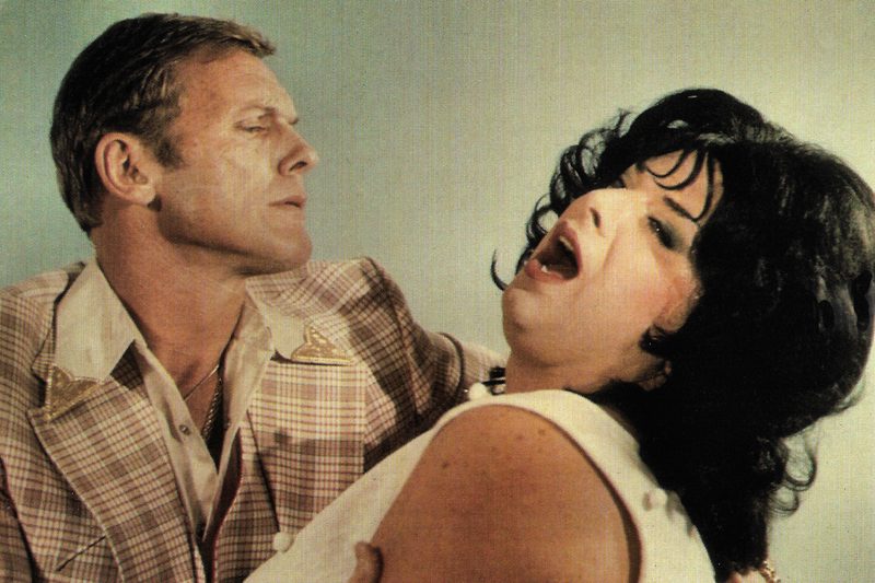 Polyester (1981)