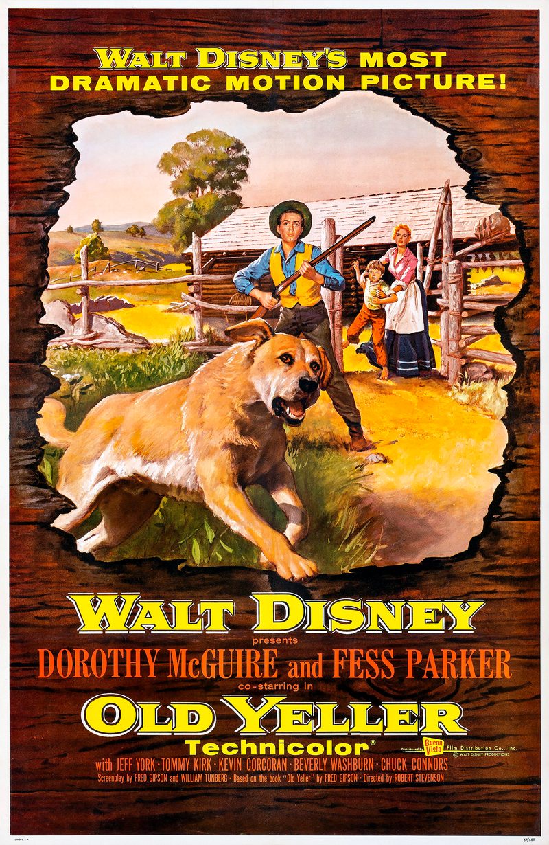Old Yeller (1957) poster