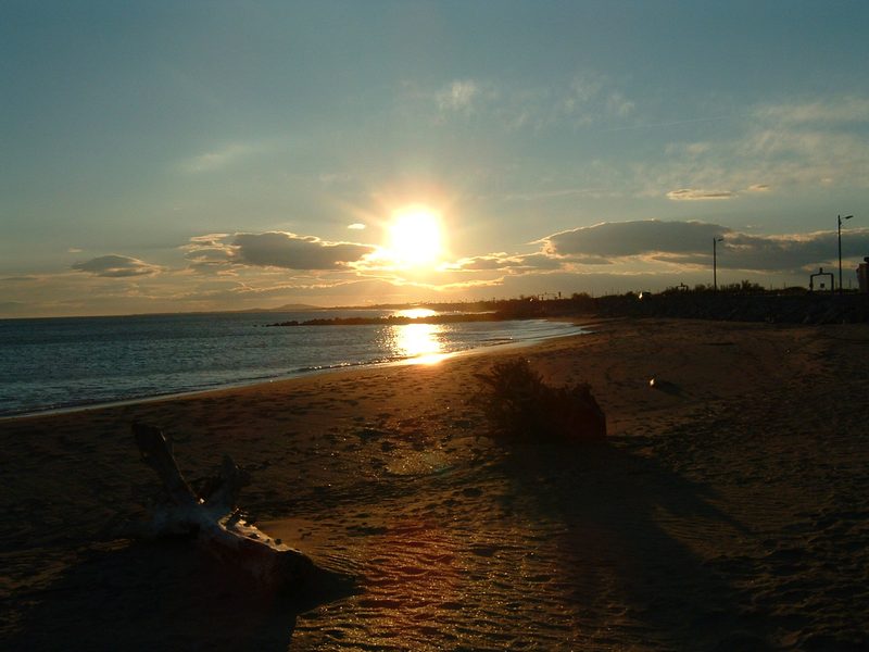 Les Plages d'Agnès (2008)