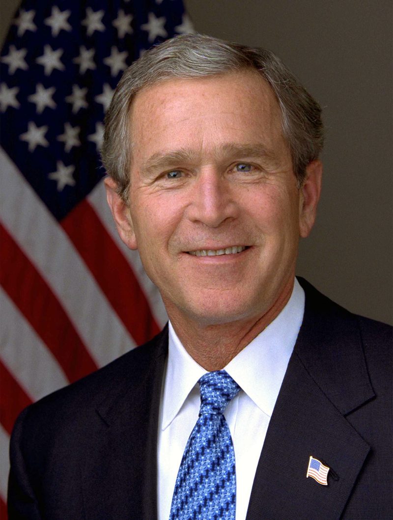 W. : L'Improbable Président (2008)